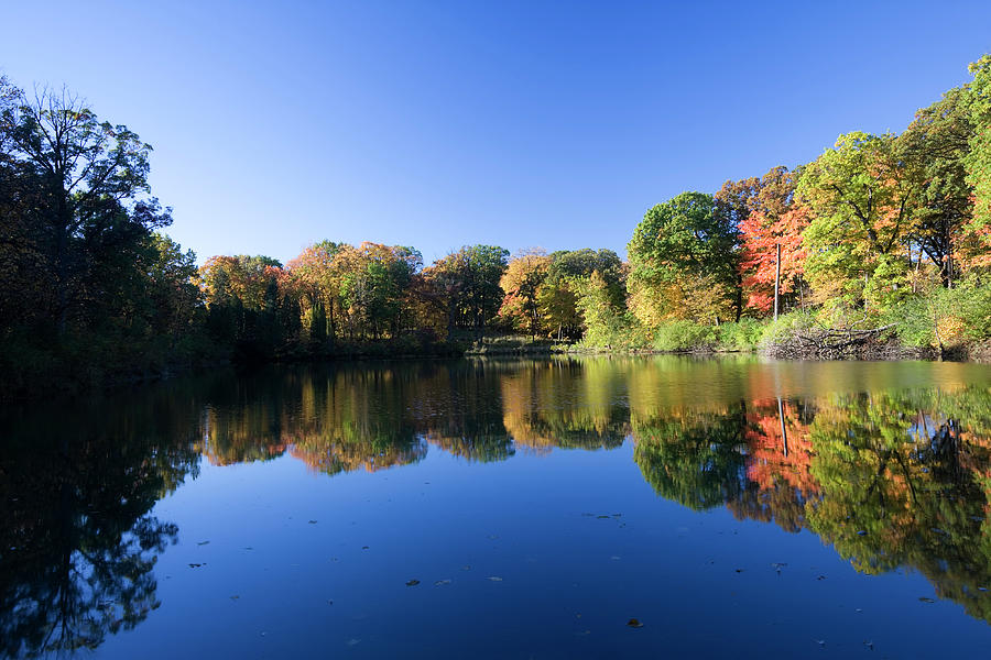 Peaceful Autumn Lake In Illinois Photograph by Stevegeer