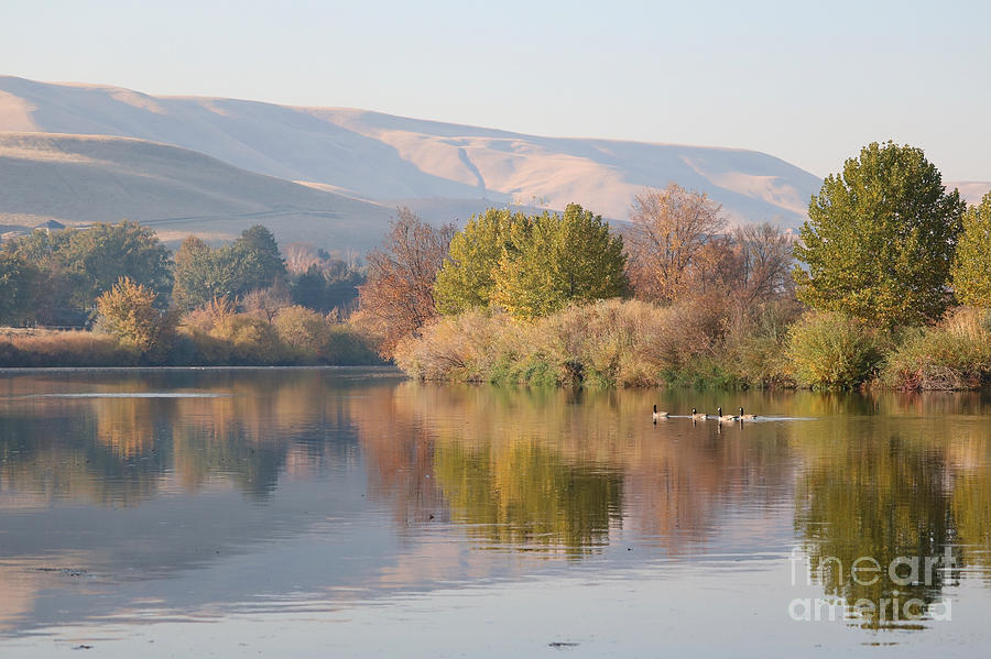 Fall Photograph - Peaceful Autumn River Reflection by Carol Groenen