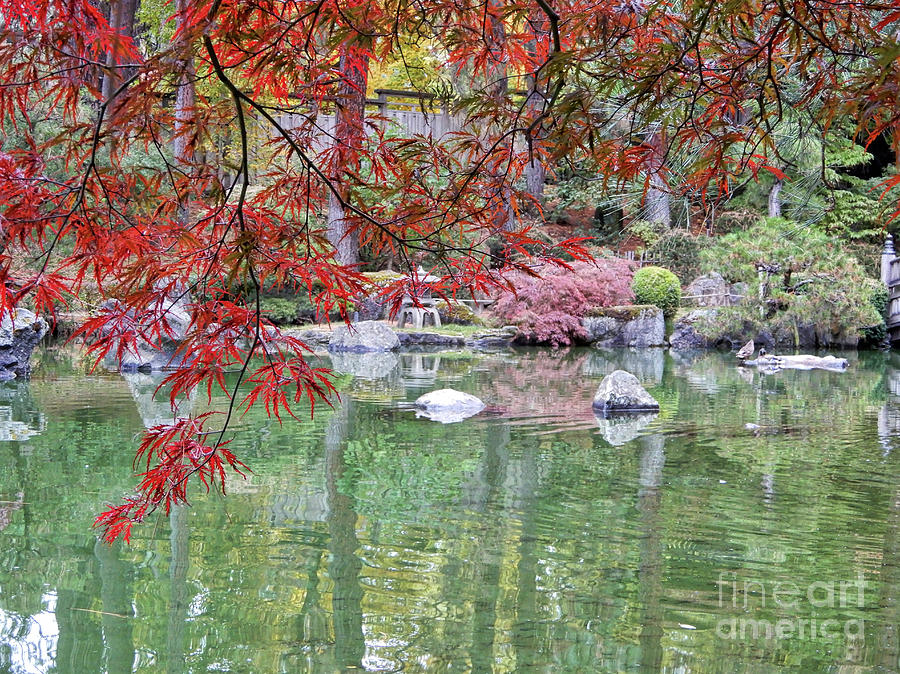 Fall Photograph - Peaceful Fall Pond  by Carol Groenen