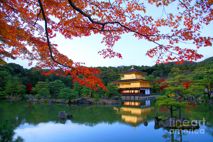 Beauty Photograph - Peaceful Golden Pavilion Temple In by Worldclassphoto Beauty Photograph - Peaceful Golden Pavilion Temple In by Worldclassphoto