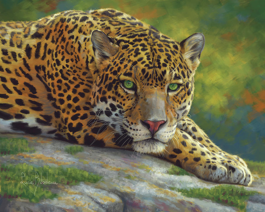 Jaguar Painting - Peaceful Jaguar by Lucie Bilodeau