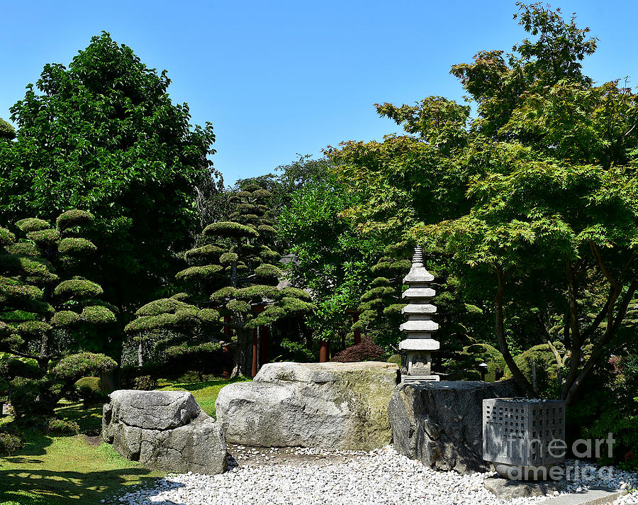 Peaceful Japanese Garden Photograph by Yvonne Johnstone