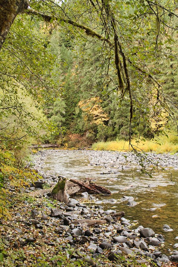 Peaceful Molalla River Photograph by Brian Eberly