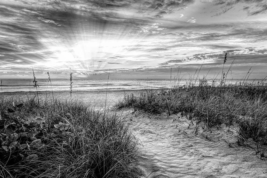 Peaceful Morning on the Dunes in Black and White Photograph by Debra and Dave Vanderlaan