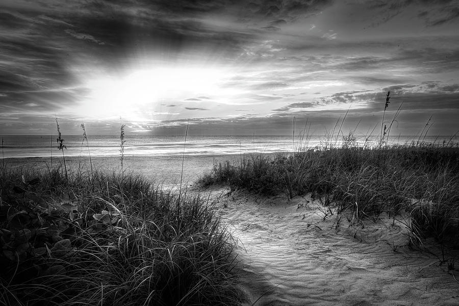 Peaceful Morning on the Dunes in Radiant Black and White Photograph by Debra and Dave Vanderlaan