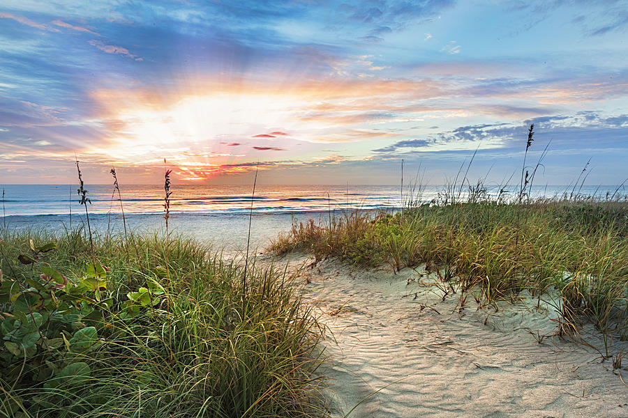Peaceful Morning on the Dunes Painting Photograph by Debra and Dave Vanderlaan