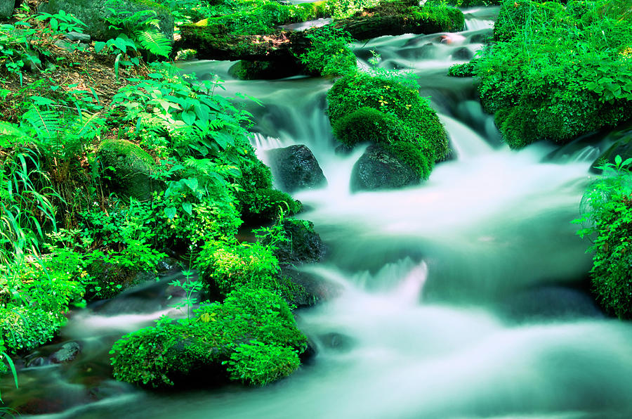 Peaceful Mountain Stream Photograph by Ooyoo
