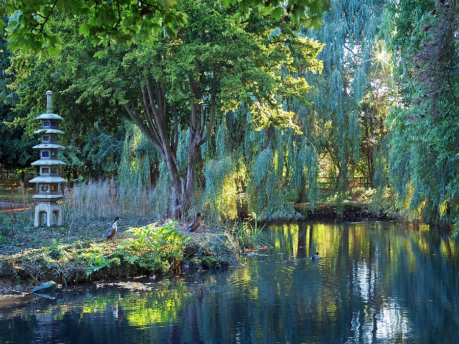 Peaceful Oasis - Japanese Garden Lake Photograph by Gill Billington