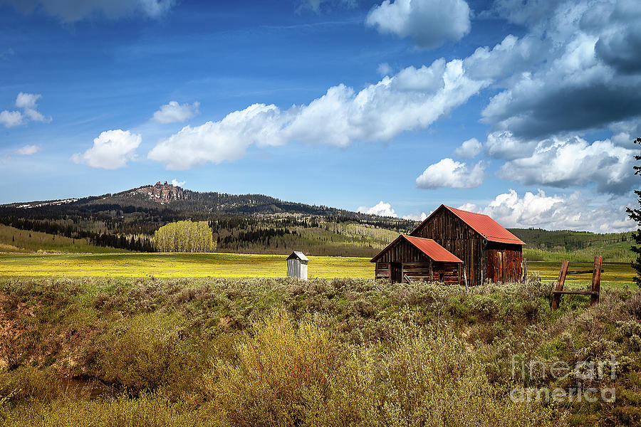 Peaceful Pastures Photograph By Steven Reed Fine Art America