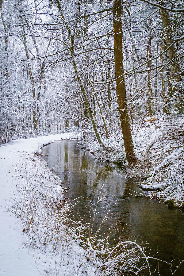 Winter Photograph - Peaceful Path by Susan Grove