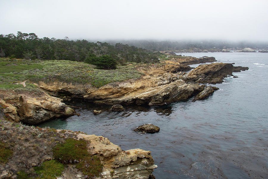 Peaceful Point Lobos by Marie Leslie Peaceful Point Lobos by Marie Leslie