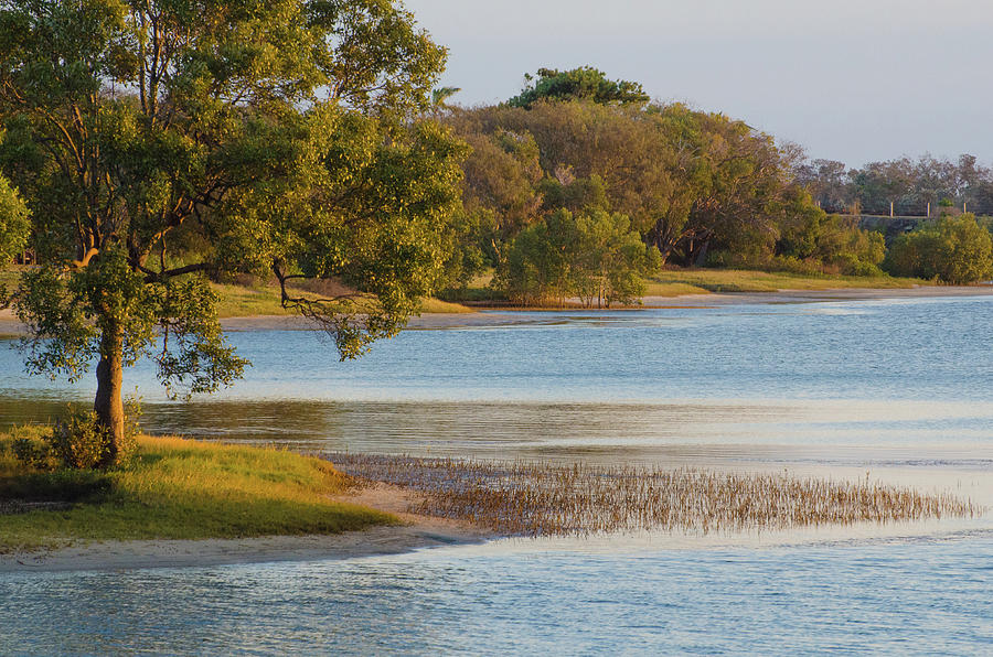 Peaceful Pond Photograph