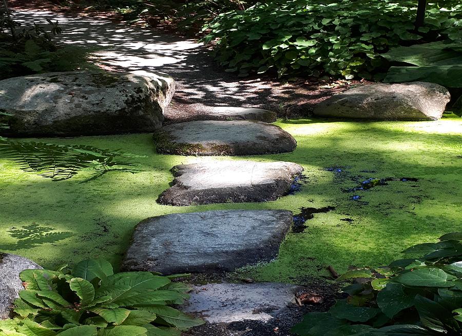 Peaceful Step by Nikki Dalton Peaceful Step by Nikki Dalton