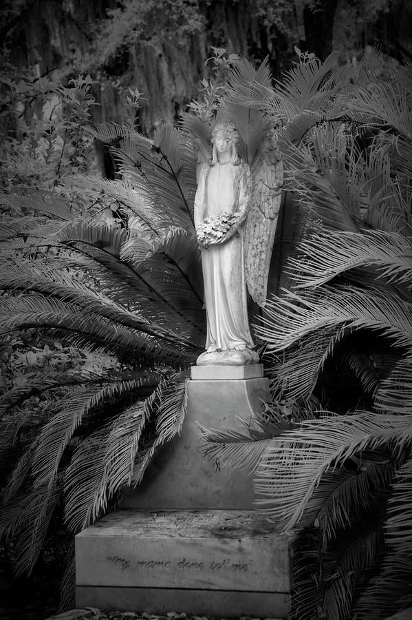 Peaceful  Thoughts at Bonaventure Cemetary II Photograph by Jon Glaser