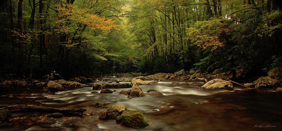 Peacefulness Photograph by Jacalyn Ackerman Peacefulness Photograph by Jacalyn Ackerman