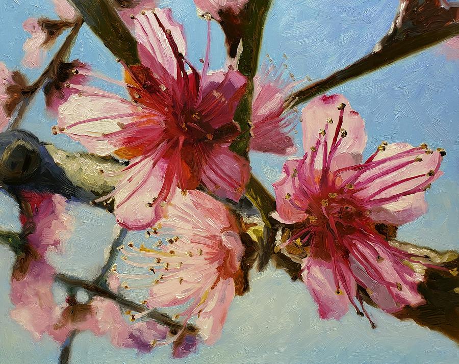 Spring Painting - Peach Blossoms by Carrie Taves