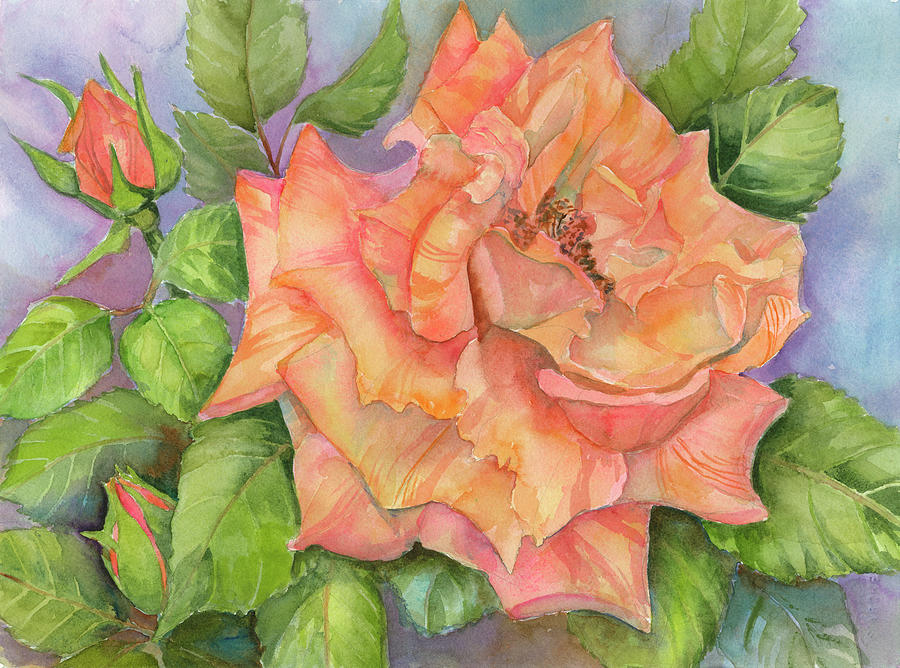 Peach Blush Rose Painting by Joanne Porter