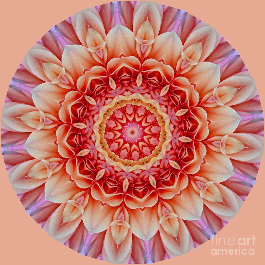 Peach Floral Mandala Digital Art by Susan Rydberg