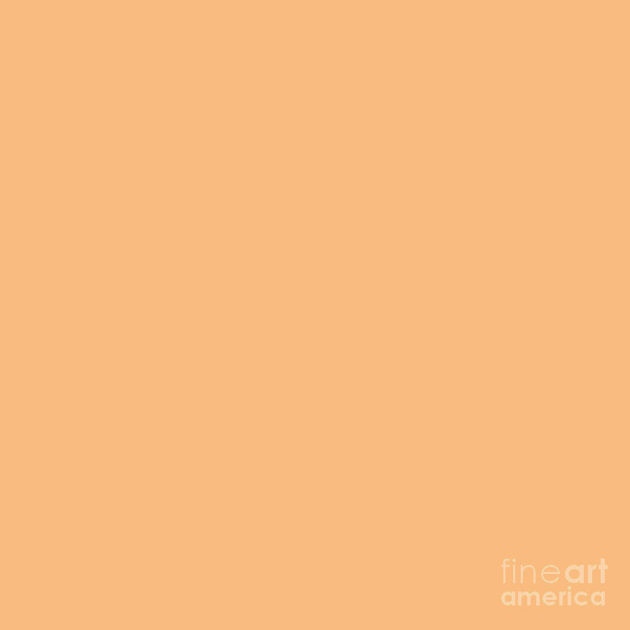 Peach Orange Solid Color by Delynn Addams for Interior Home Decor Digital Art by Delynn Addams