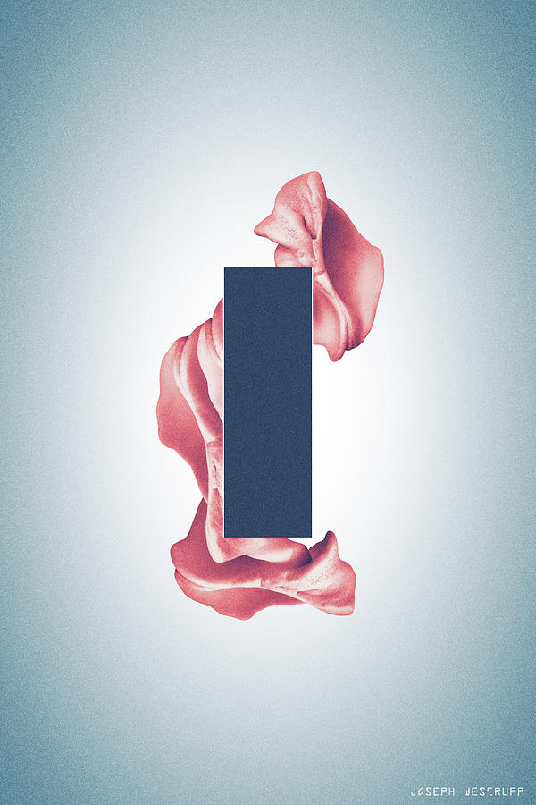 Peach Organon - Surreal Abstract Rectangle on Seashell by Joseph Westrupp Peach Organon - Surreal Abstract Rectangle on Seashell by Joseph Westrupp