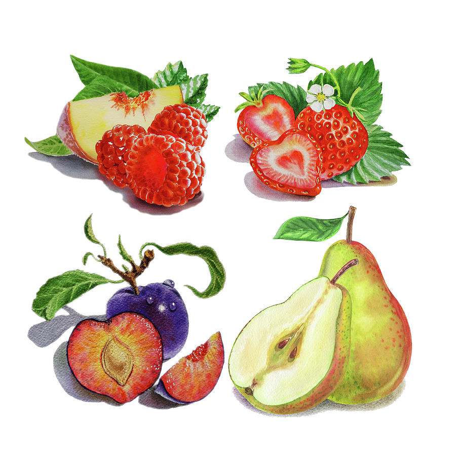 Peach Plum Pear Berries Watercolor Painting
