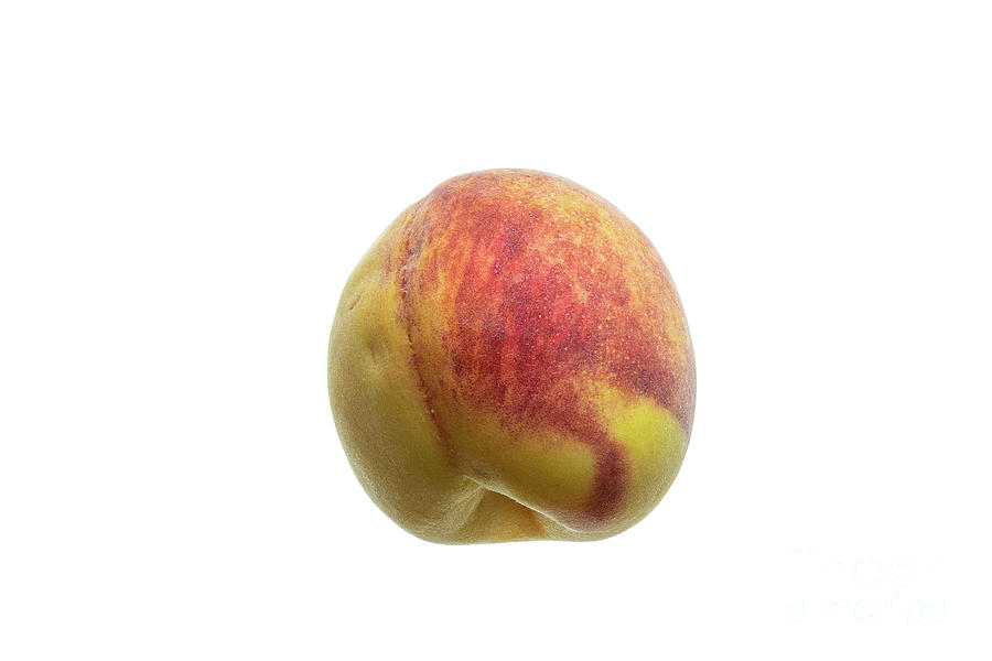 Peach (prunus Persica) Fruit Photograph by Riccardo Bianchini/science Photo Library