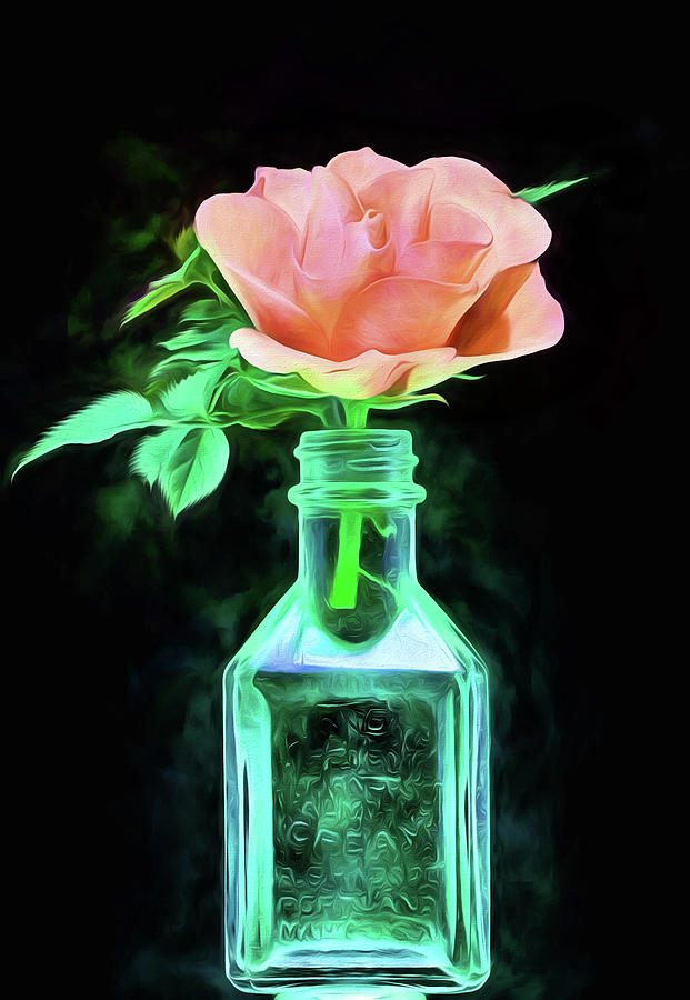 Peach Rose Still Life Digital Art by JC Findley