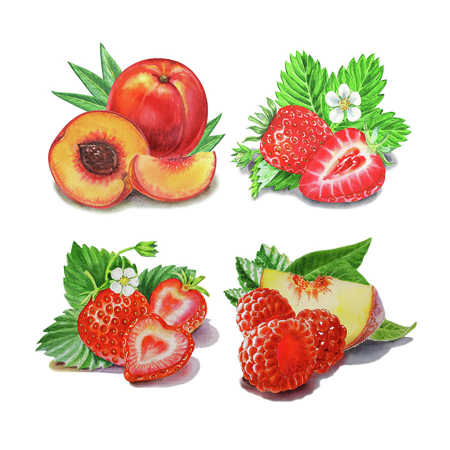 Peaches Strawberries Raspberries Watercolor  Painting by Irina Sztukowski