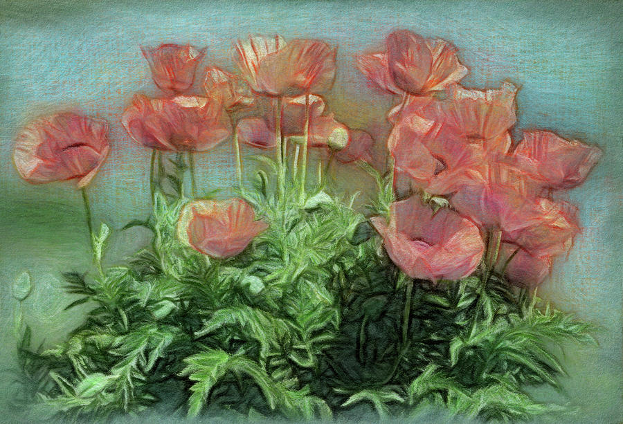 Peachy Poppies In The Garden Digital Art by Leslie Montgomery