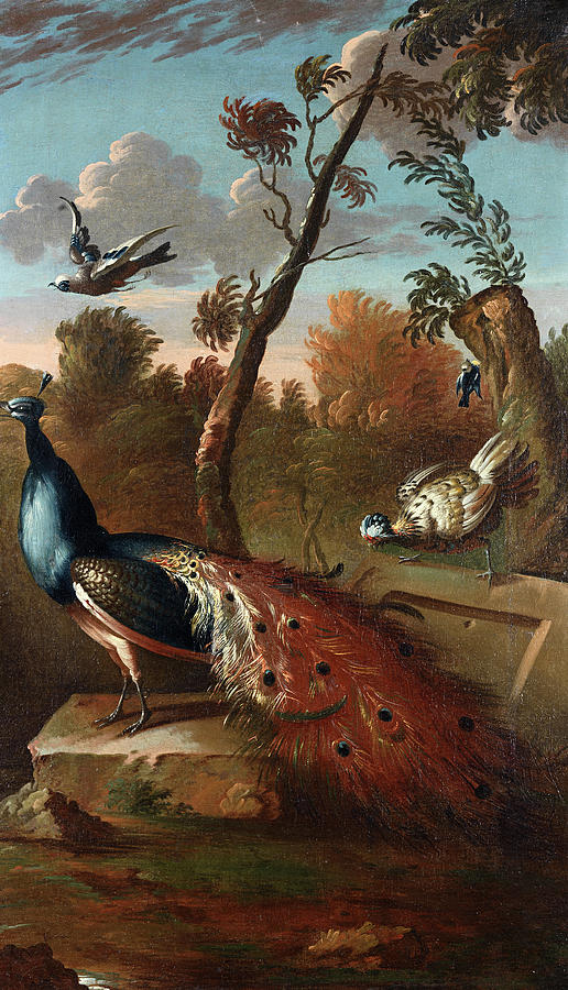 Peacock and other birds in a wooded setting Painting by Follower of ...