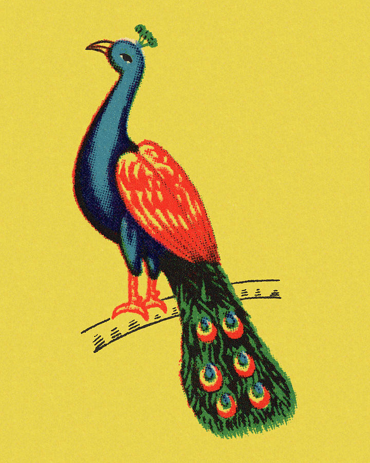 Peacock drawing fantasy Royalty Free Vector Image