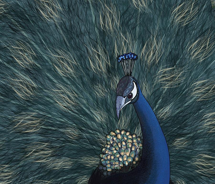 Peacock Streamlined Drawing by Joan Stratton