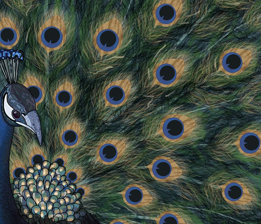 Peacock Fan Drawing by Joan Stratton