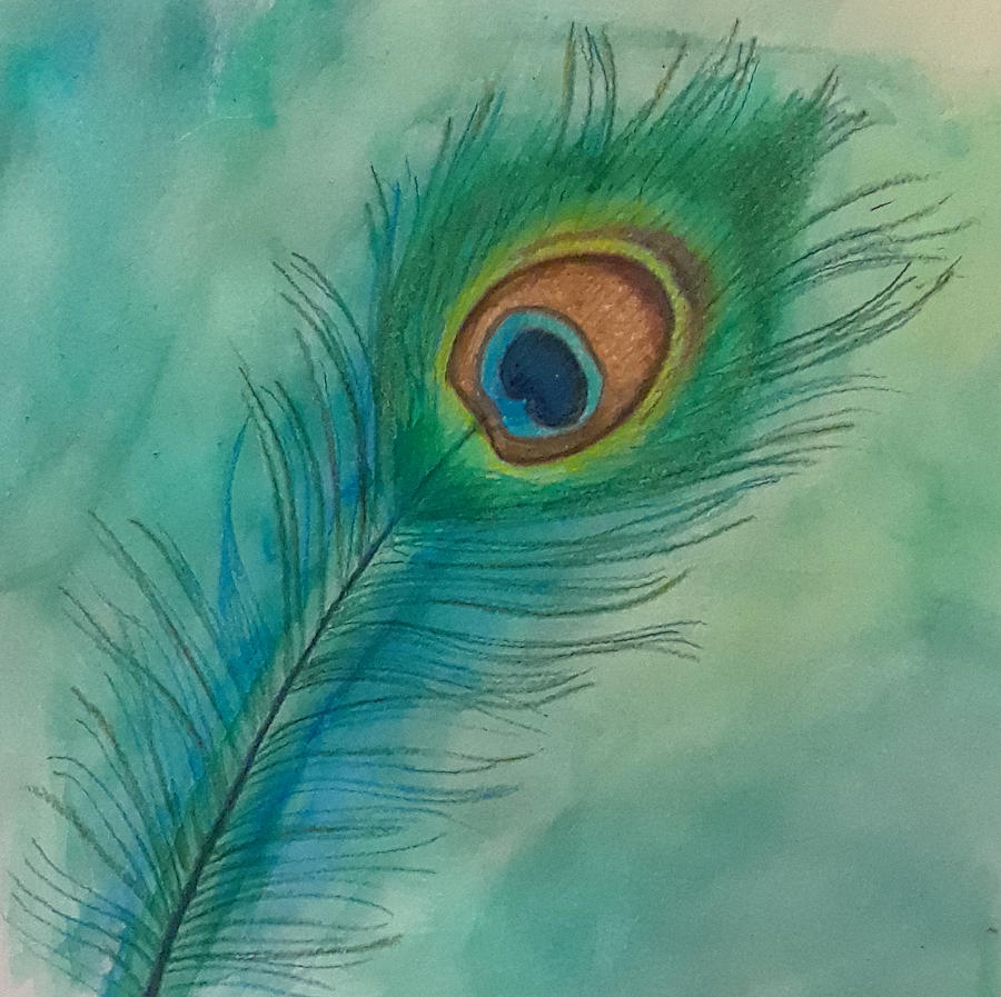 peacock feathers art