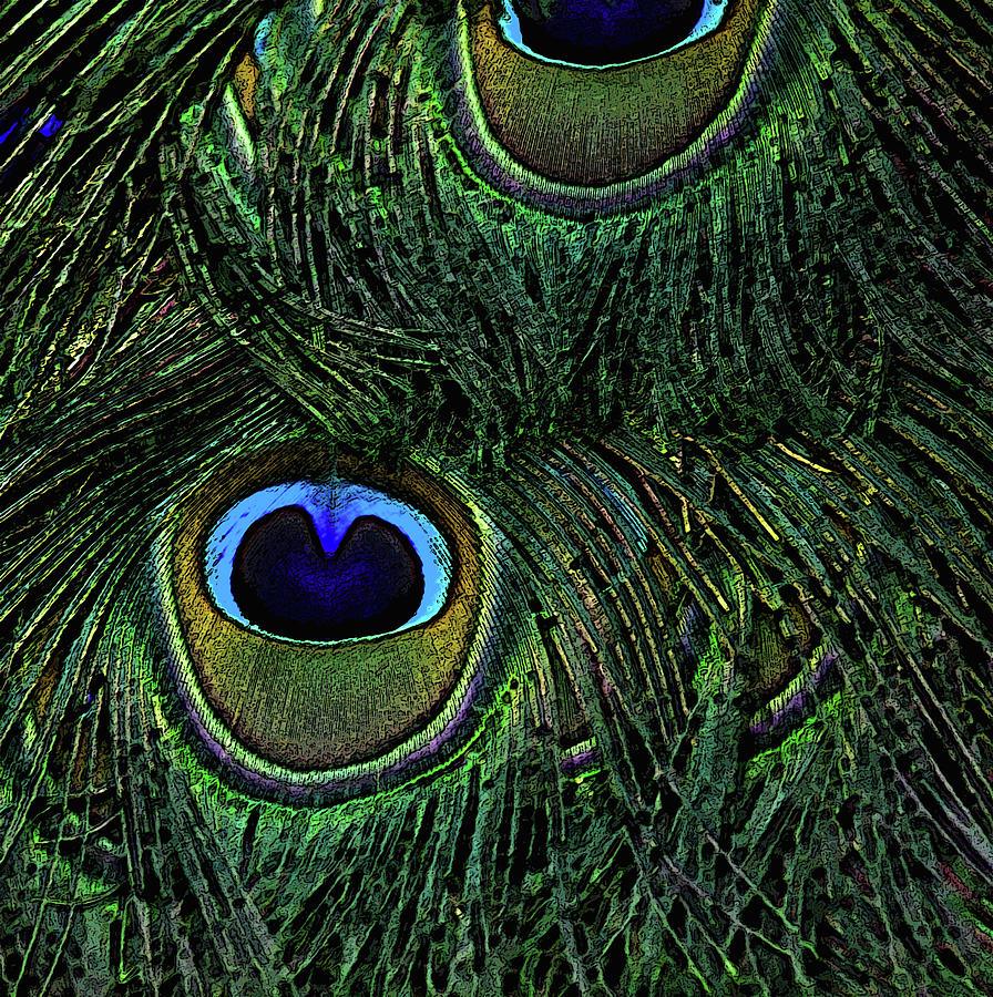 Peacock Feather Pop Art Photograph