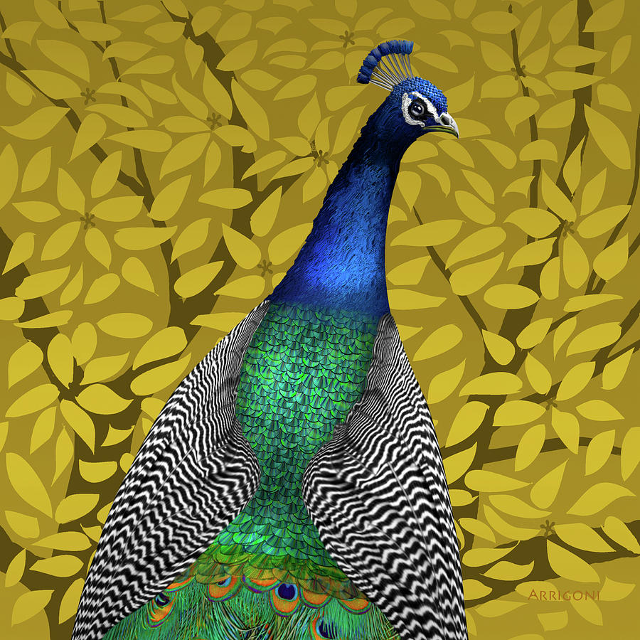 Peacock in Tree, Golden Ochre, Square Painting by David Arrigoni