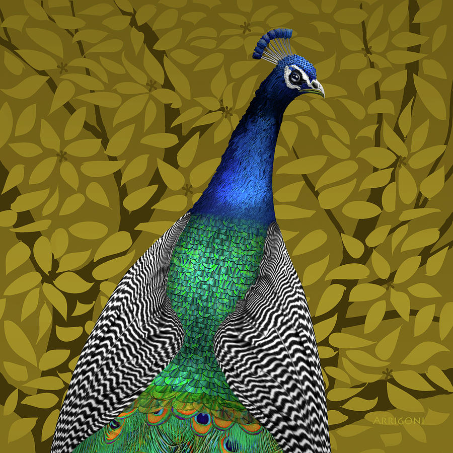 Peacock in Tree, Raw Umber, Square Painting by David Arrigoni