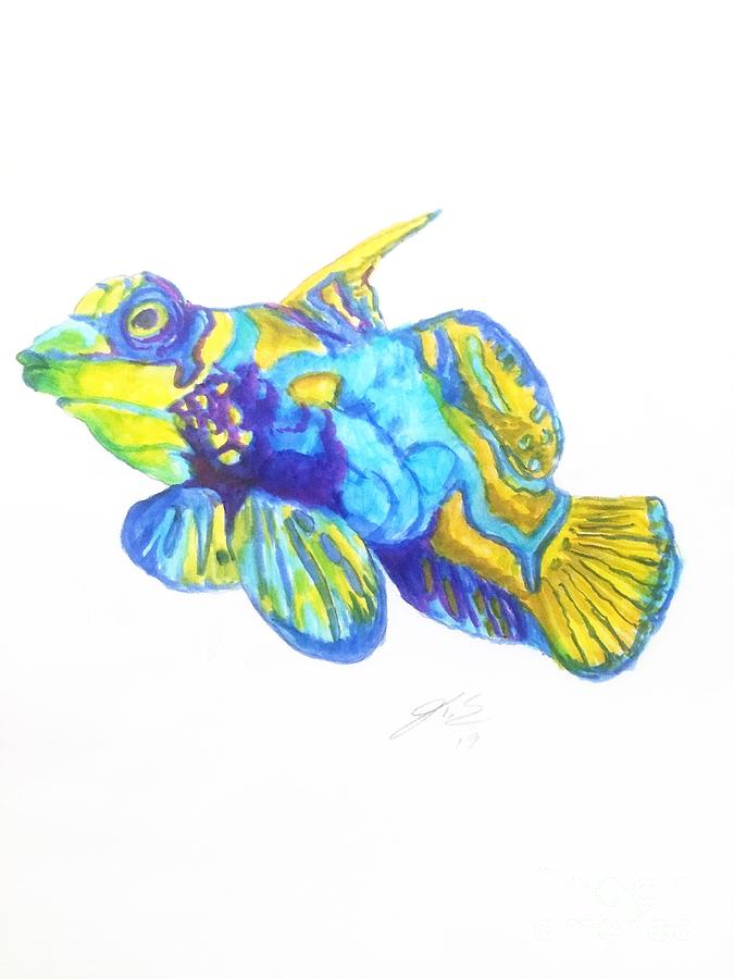 Peacock Mandarin Goby by Jennifer Thomas Peacock Mandarin Goby by Jennifer Thomas