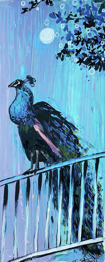 Peacock on a fence Painting by Tilly Strauss