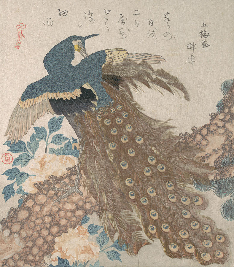 Peacock on Pine Tree and Peonies, from the series Three Sheets Relief by Totoya Hokkei