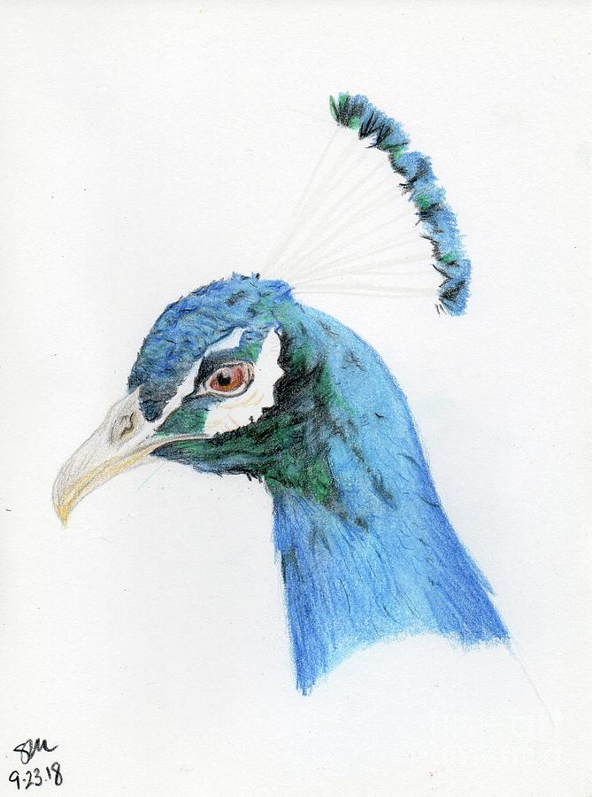How to draw “dancing peacock” with oil pastels in easy way? - Maitrry P Shah