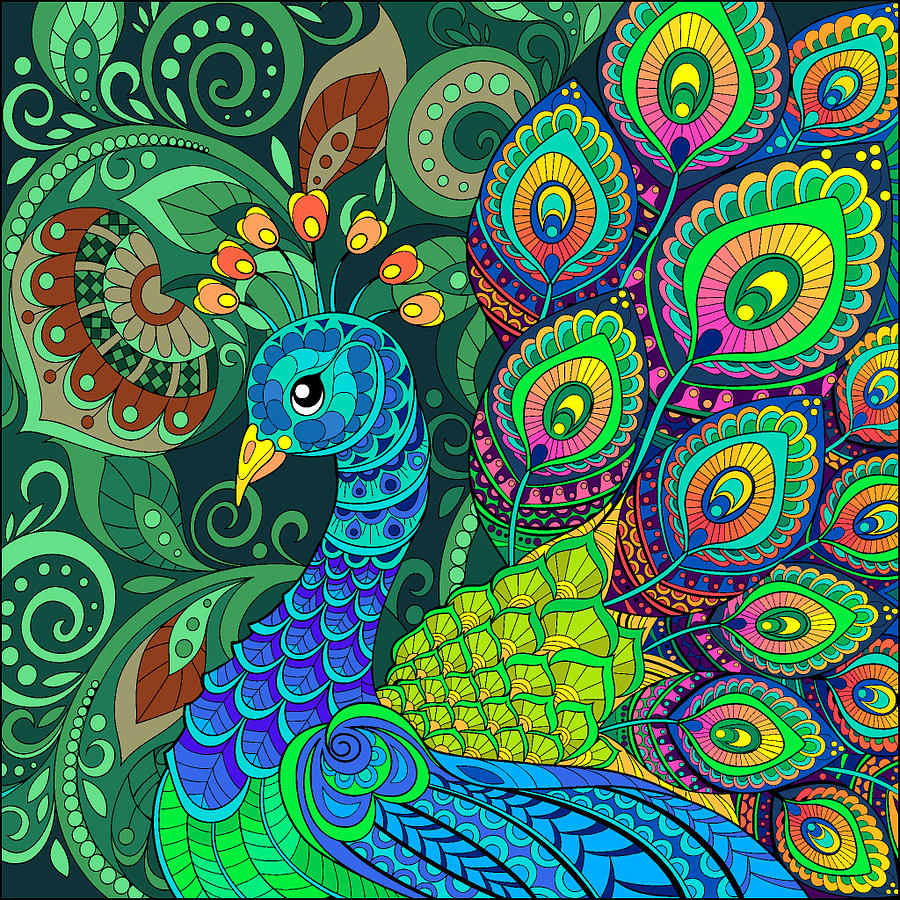 peacock drawings