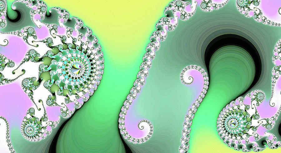 Peacock Tail Art Digital Art by Don Northup