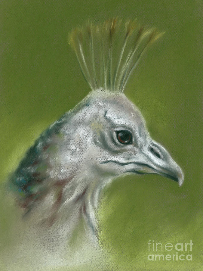 Peahen Portrait Painting by MM Anderson