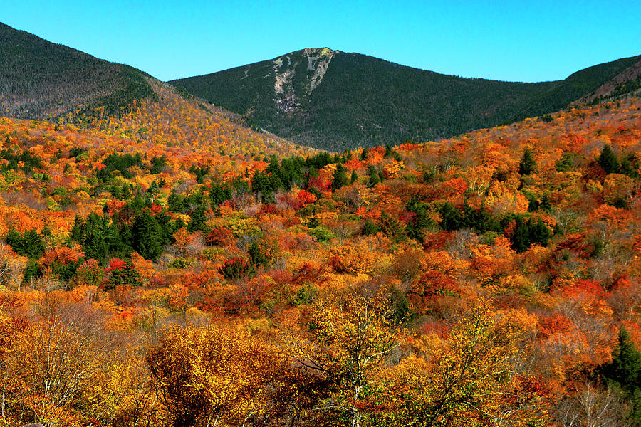 Peak Autumn Foliage In New Hampshire Photograph by Sarah Ann Loreth