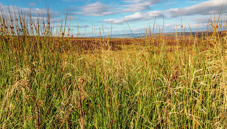 Peak District Moors Through The Long Grass Photograph By Chris Warham Pixels