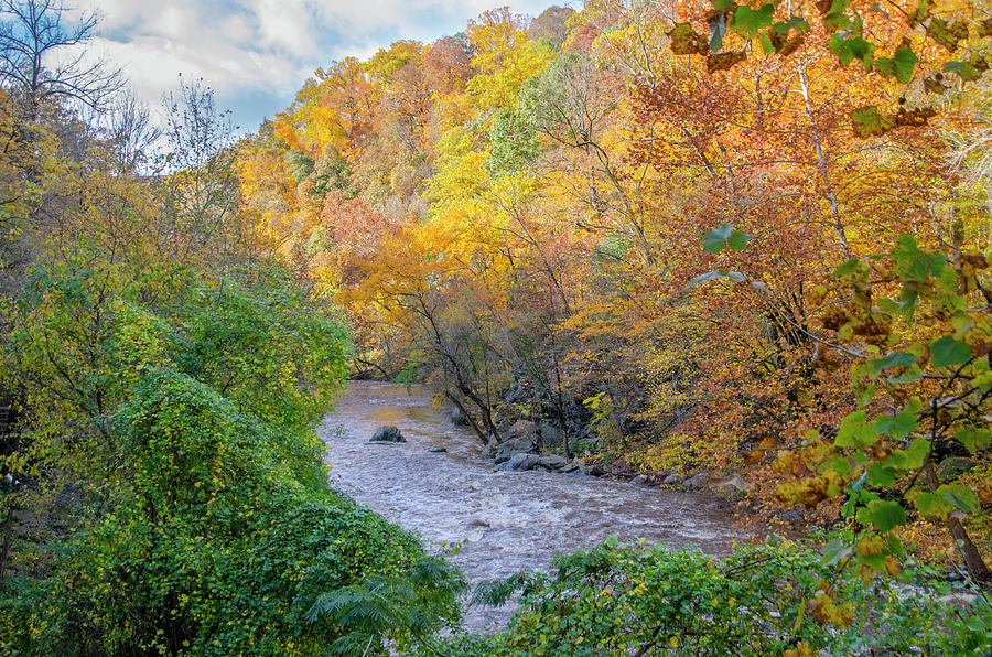 Peak Fall  Colors along the Wissahickon Creek Photograph by Bill Cannon