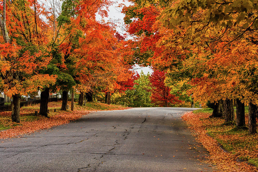 Peak Fall Colors in New Salem Massachusetts Photograph by Jeff Folger