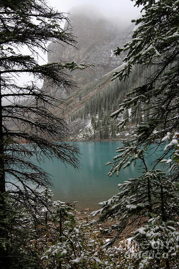 Peaking at Moran Lake by Paula Guttilla Peaking at Moran Lake by Paula Guttilla