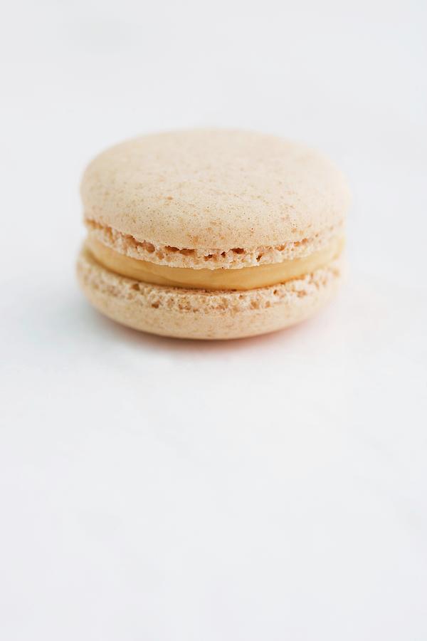 Peanut And Caramel Macaron Photograph by Michael Wissing